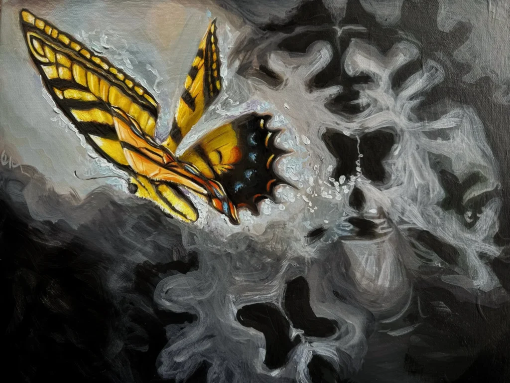 butterfly 1